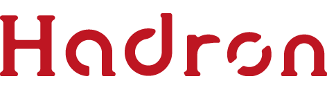 محصولات هادرون Hadron