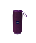 اسپیکر بلوتوثی قابل حمل پارما Parma V50