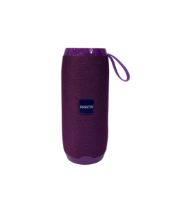 اسپیکر بلوتوثی قابل حمل پارما Parma V50