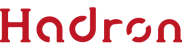 محصولات هادرون Hadron